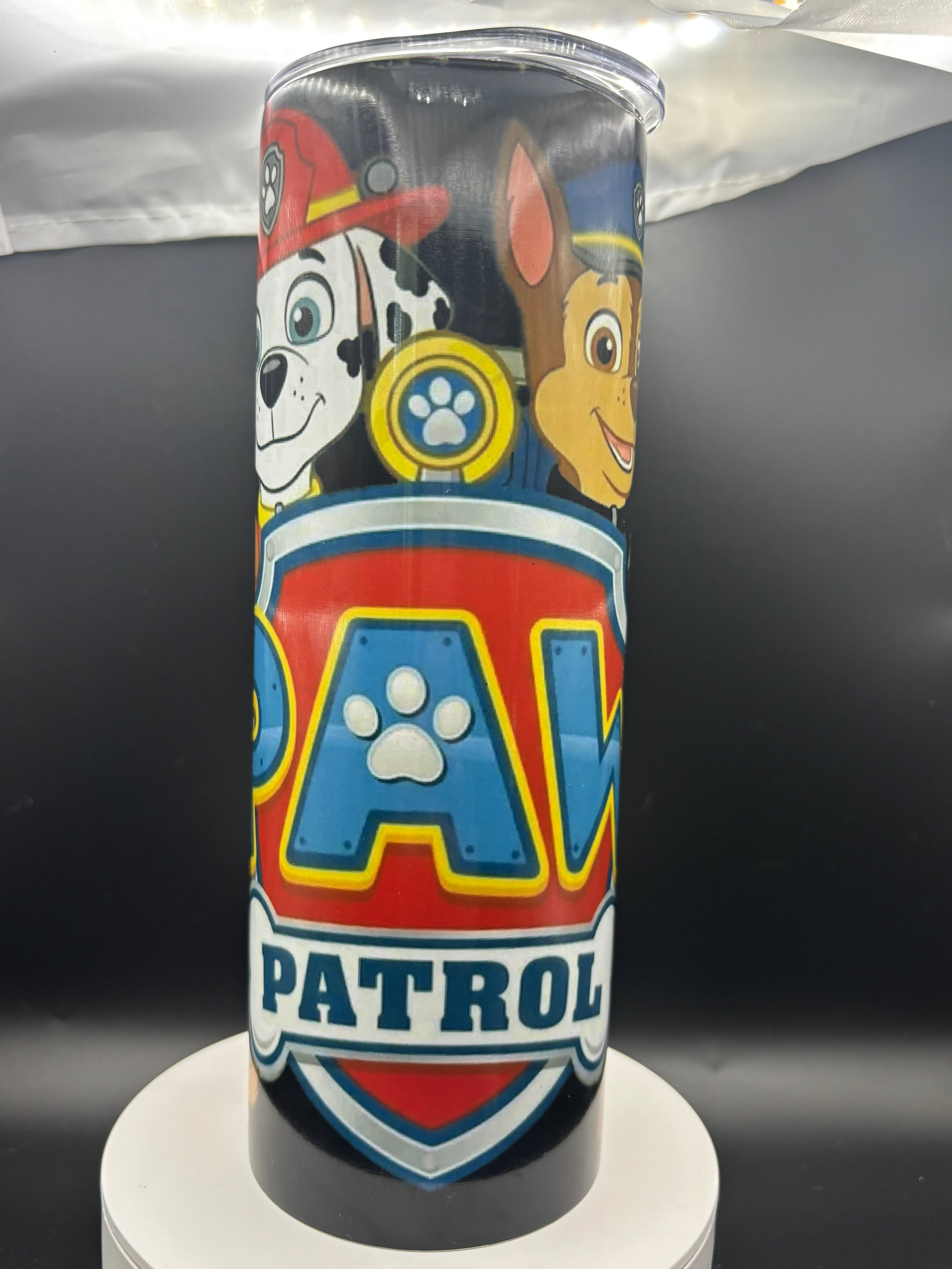 Paw Patrol 20oz Insulated
