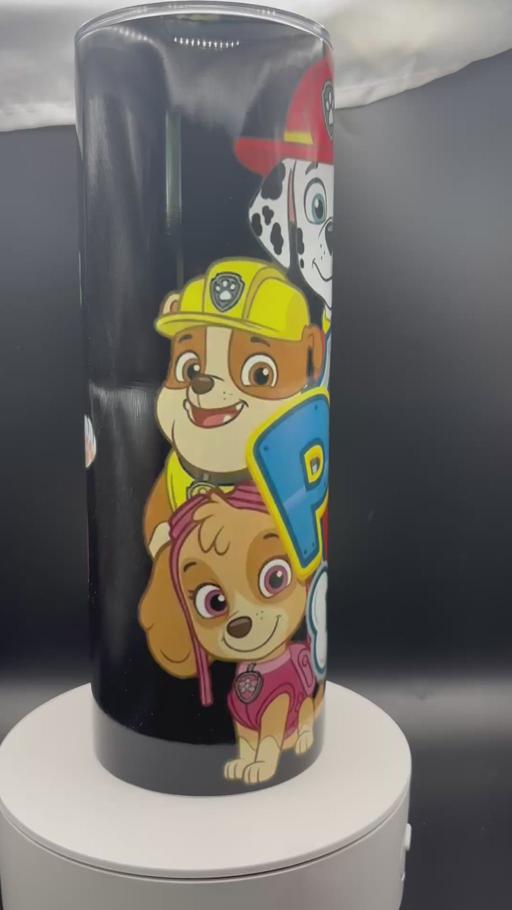 Paw Patrol 20oz Insulated