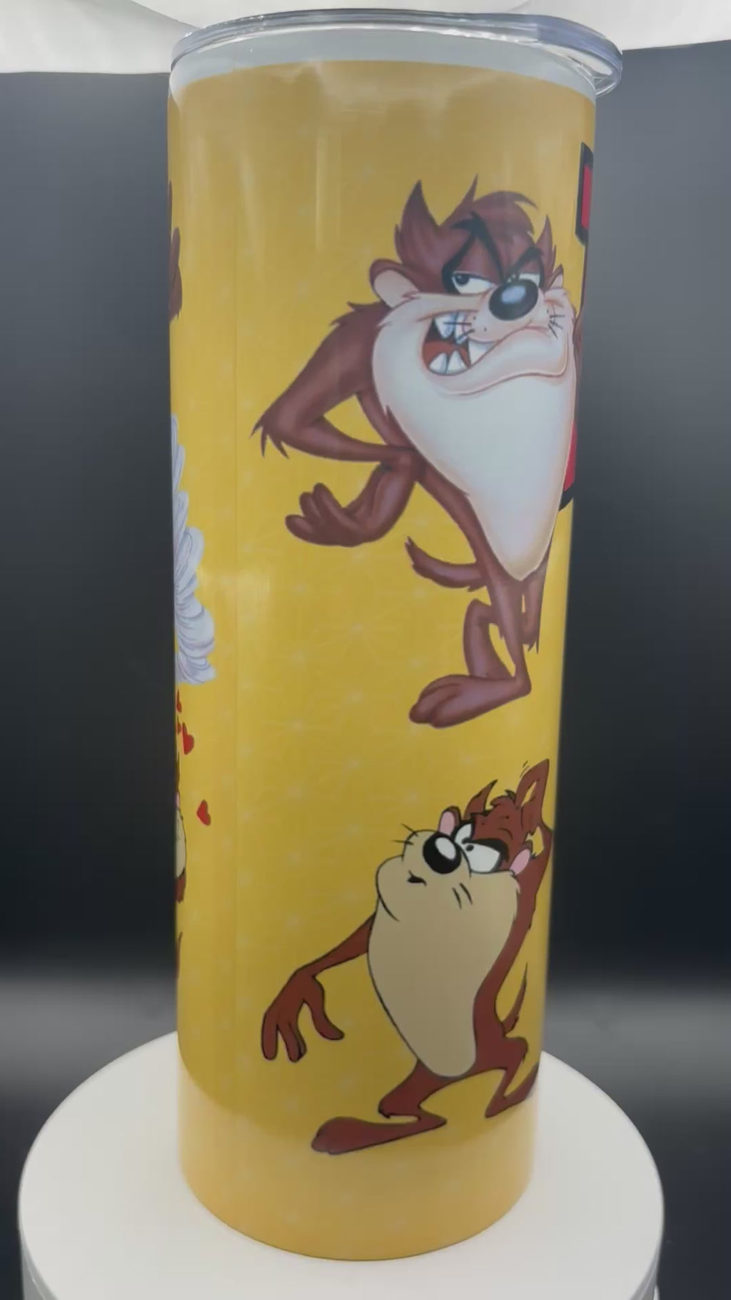 Taz 20oz Insulated